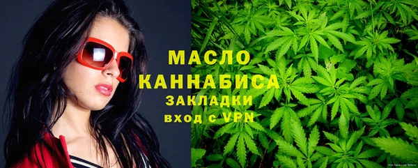 молекула духа Богородск